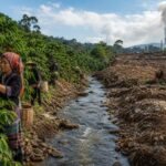découvrez les enjeux sociaux et environnementaux majeurs de l'industrie du café, incluant les impacts sur les communautés locales, la durabilité écologique et les pratiques responsables.