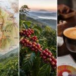découvrez comment l'origine du café, incluant le pays, la région et l'altitude, influence le profil aromatique et le goût unique de chaque tasse.
