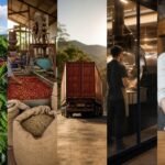 découvrez le parcours complet du café, de la récolte chez le producteur jusqu'à la dégustation dans votre tasse, et comprenez le fonctionnement de cette filière passionnante.